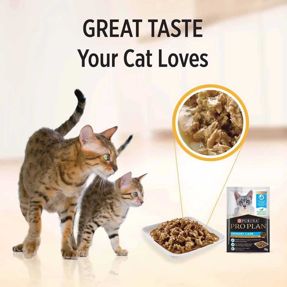 Pro Plan Urinary Tract Health Chicken In Gravy Adult Pouch Cat Food 85g x 12