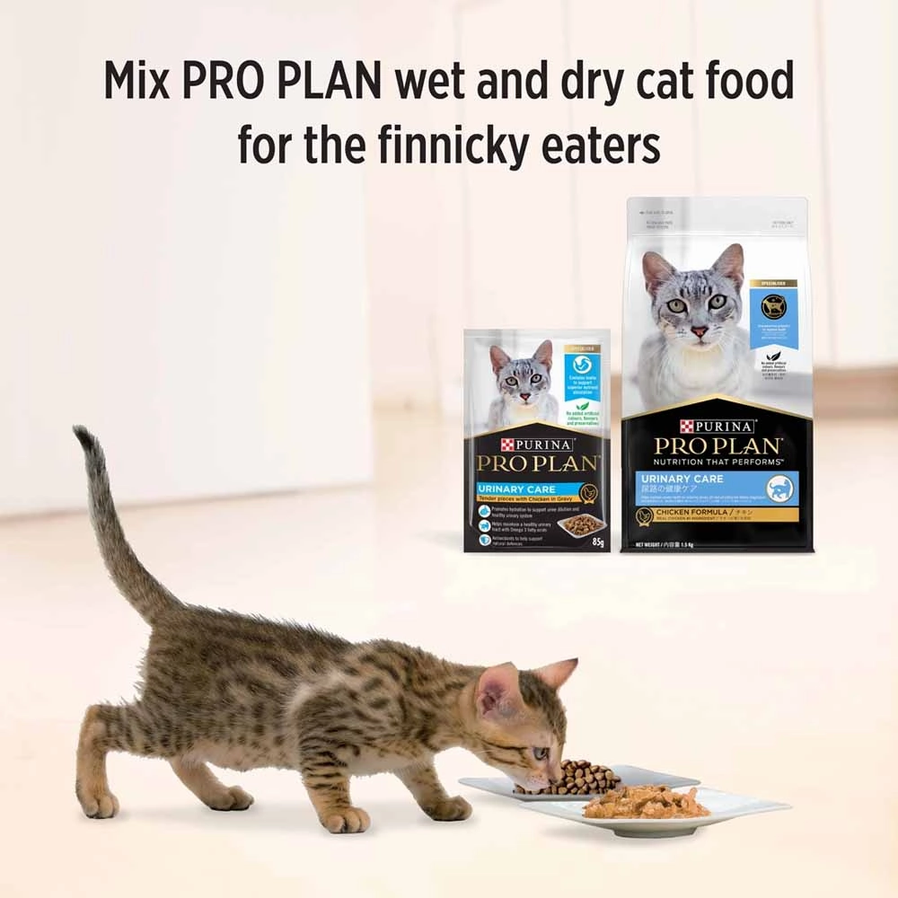Pro Plan Urinary Tract Health Chicken In Gravy Adult Pouch Cat Food 85g x 12