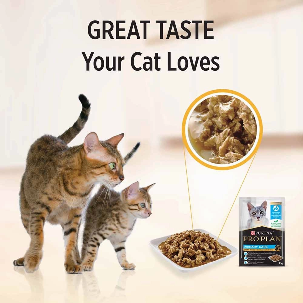 Pro Plan Urinary Tract Health Chicken In Gravy Adult Pouch Cat Food 85g x 12