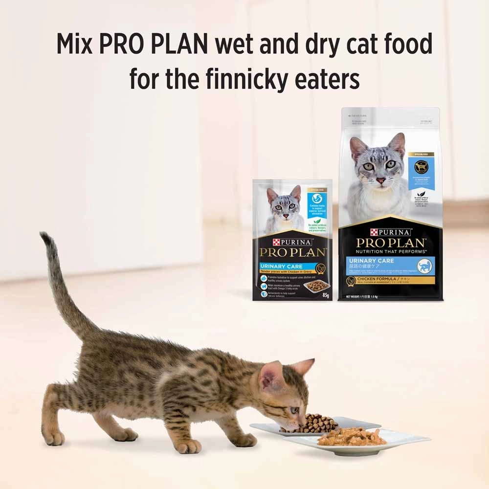 Pro Plan Urinary Tract Health Chicken In Gravy Adult Pouch Cat Food 85g x 12
