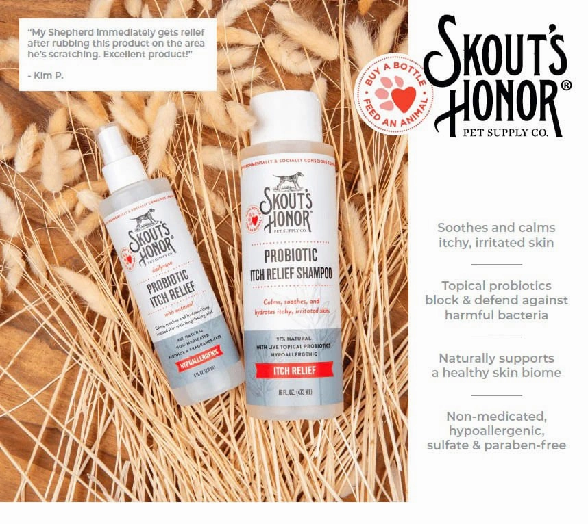 Probiotic Itch Relief Shampoo, 16 oz