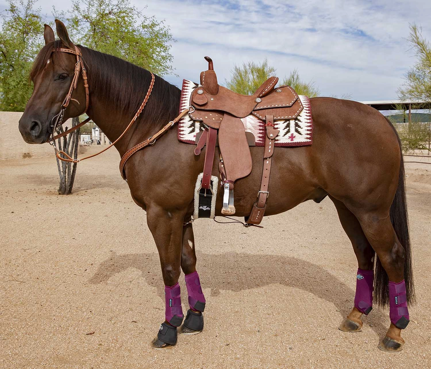 Professional's Choice Buckstitch Harness Leather Browband Headstall