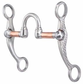 Professionals Choice Correction Rasp Shank Bit