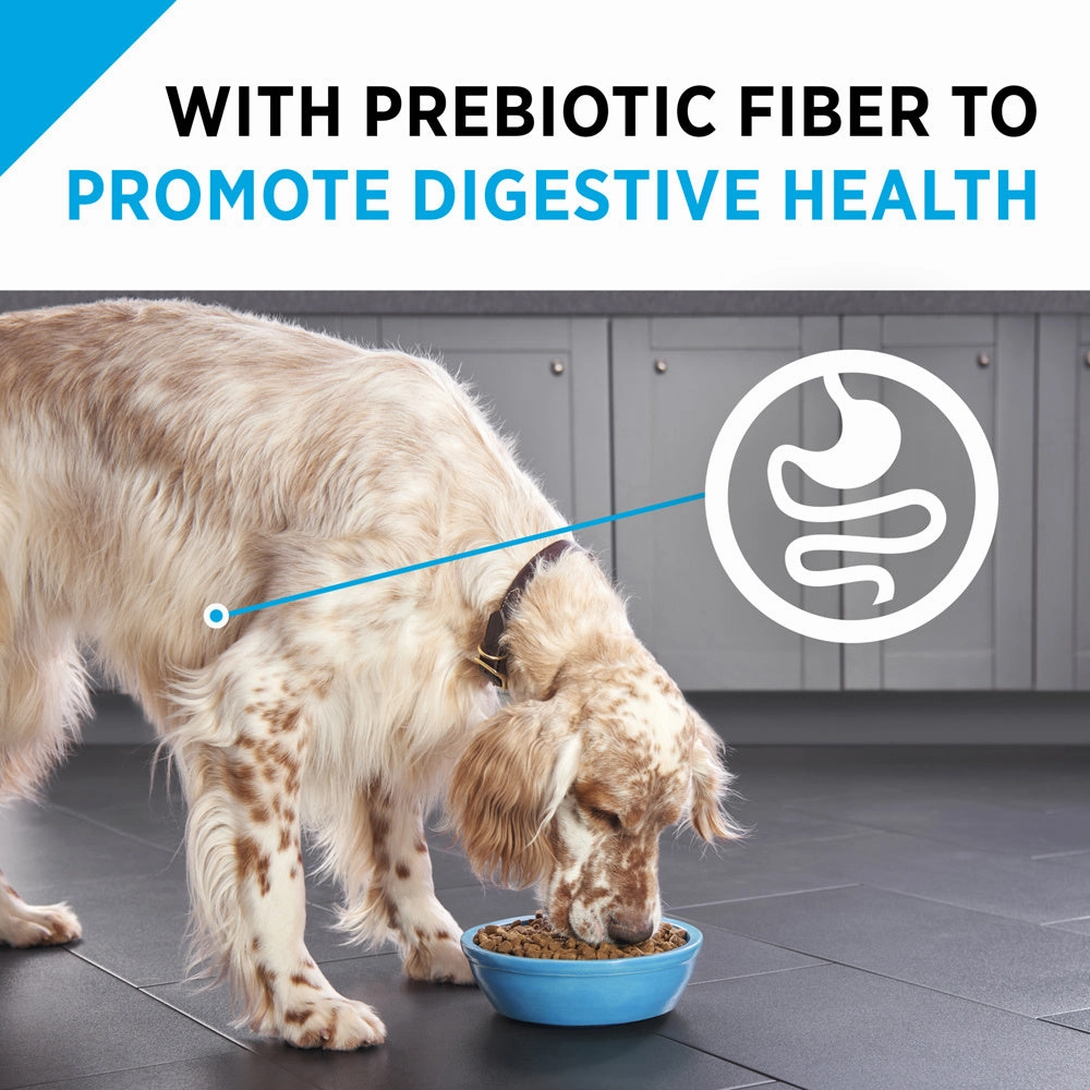 Purina Pro Plan Focus Sensitive Skin & Stomach Formula Lamb & Oat Meal Formula Dry Dog Food