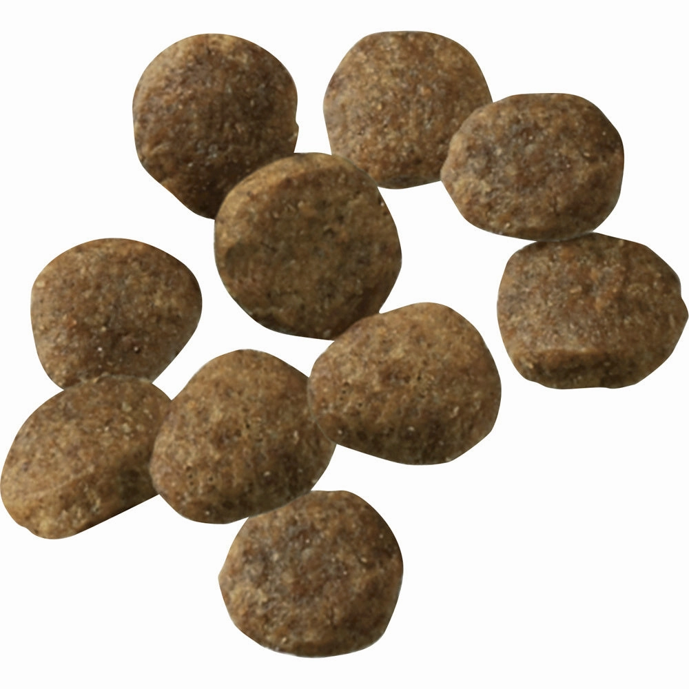 Purina Pro Plan Sensitive Skin & Stomach Lamb & Oat Meal With Probiotics Sensitive Stomach Dry Puppy Food
