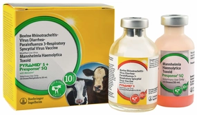 Pyramid 5   Presponse SQ Cattle Vaccine