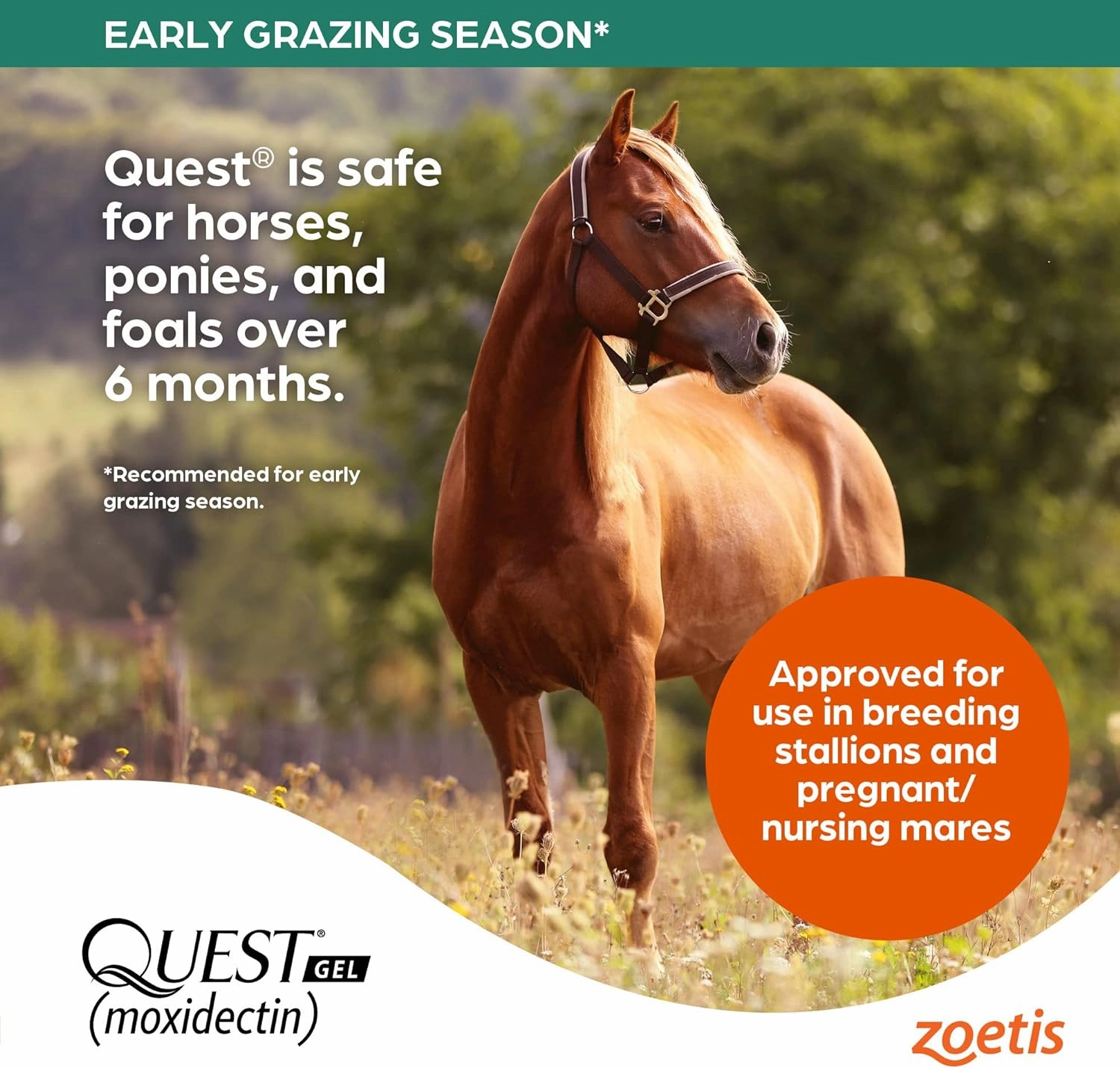 Quest Gel Horse Dewormer