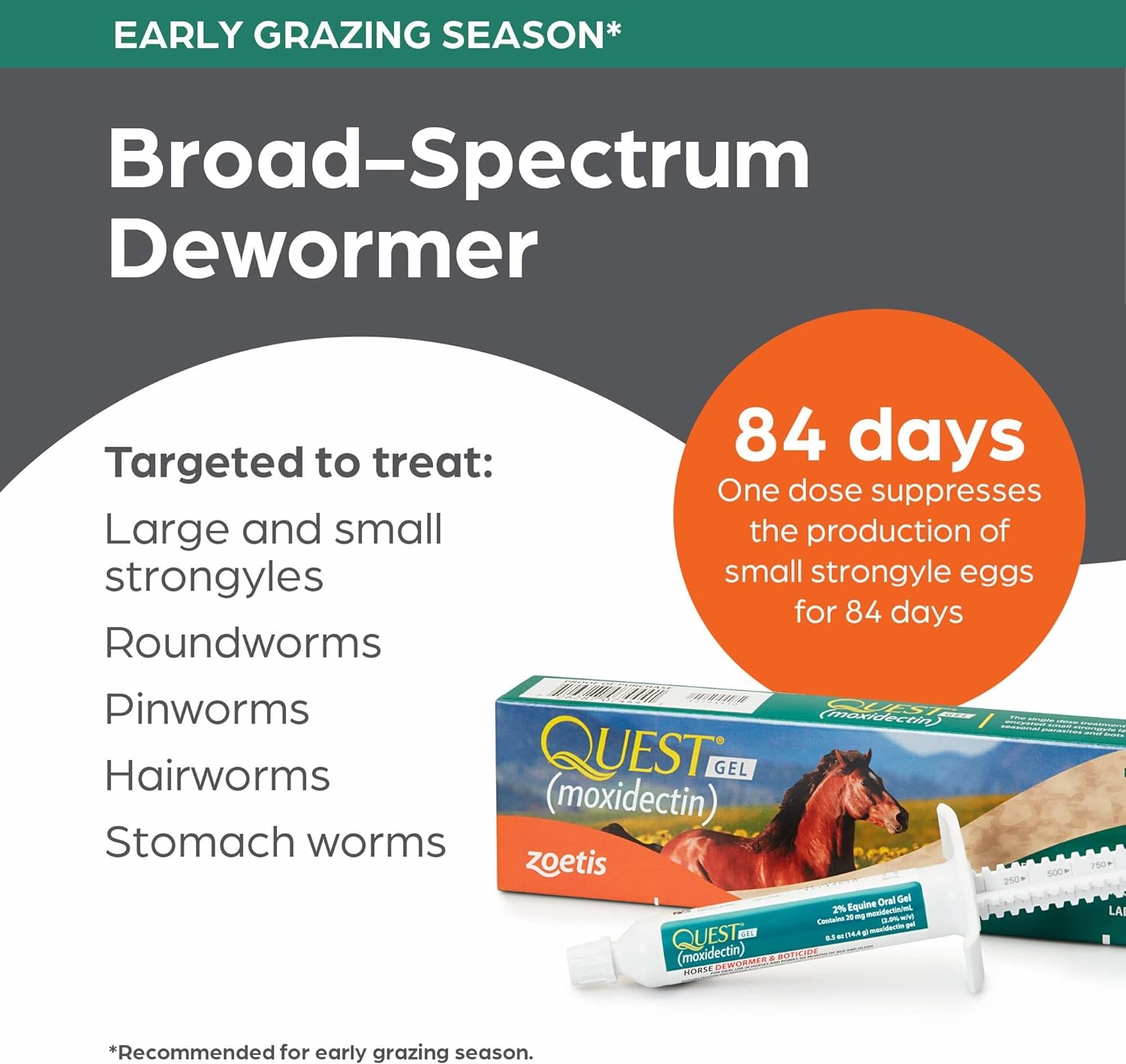 Quest Gel Horse Dewormer