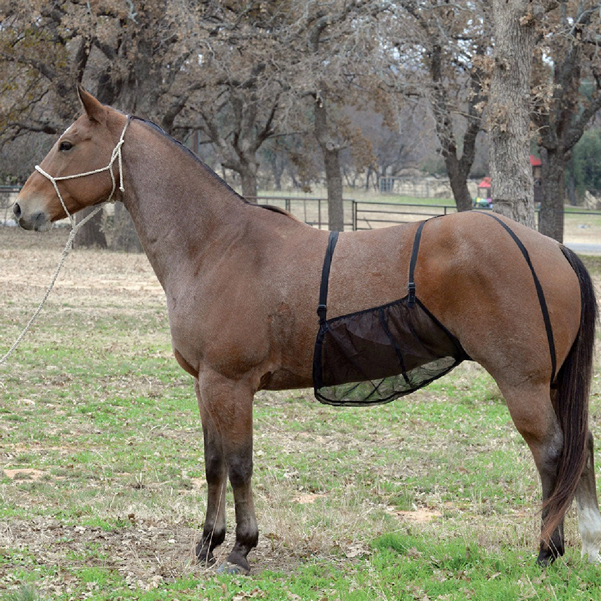 Quiet Ride Belly Guard
