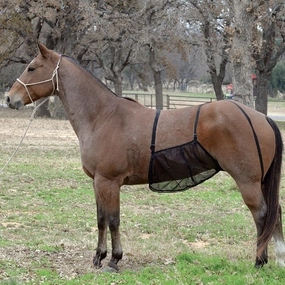 Quiet Ride Belly Guard