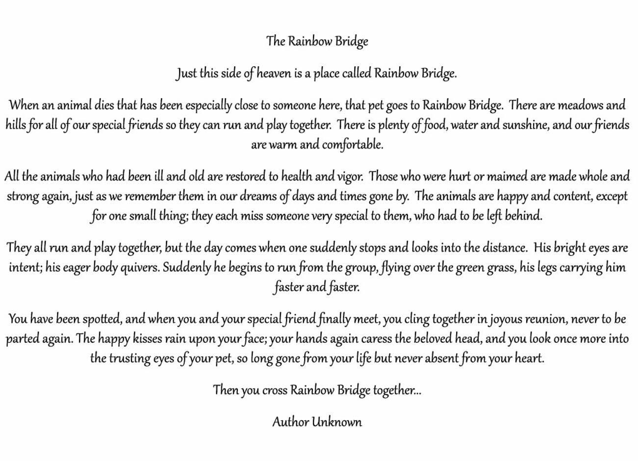 Rainbow Bridge Pet Sympathy Card