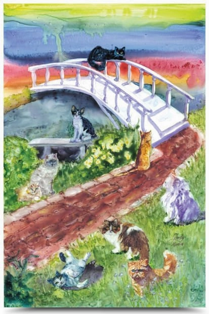 Rainbow Bridge Pet Sympathy Card