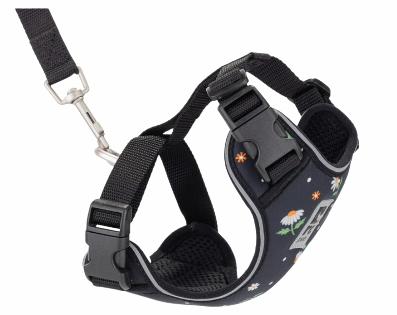 RC Pets Adventure Kitty Harness - Daisies