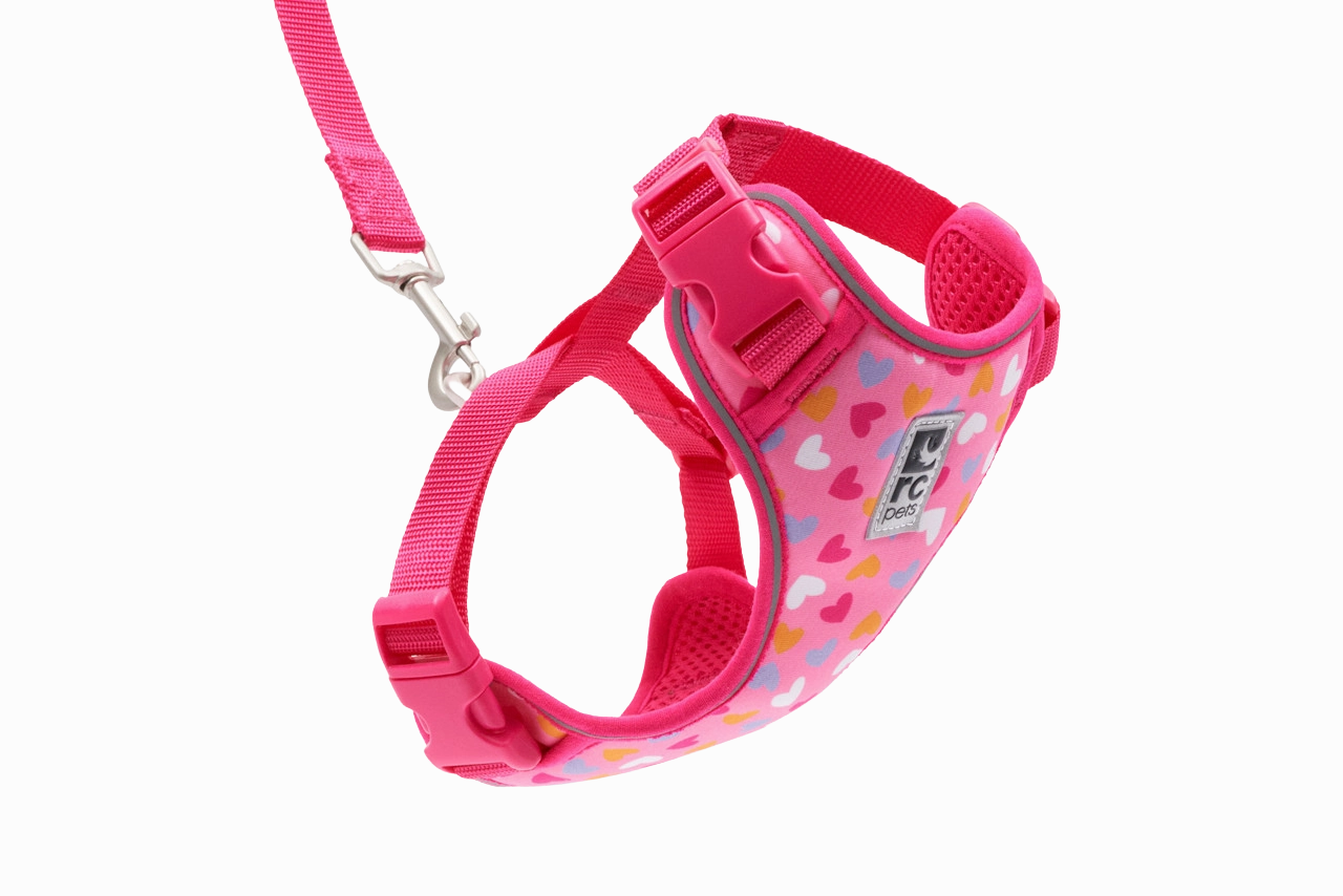 RC Pets Adventure Kitty Harness - Lil Heart