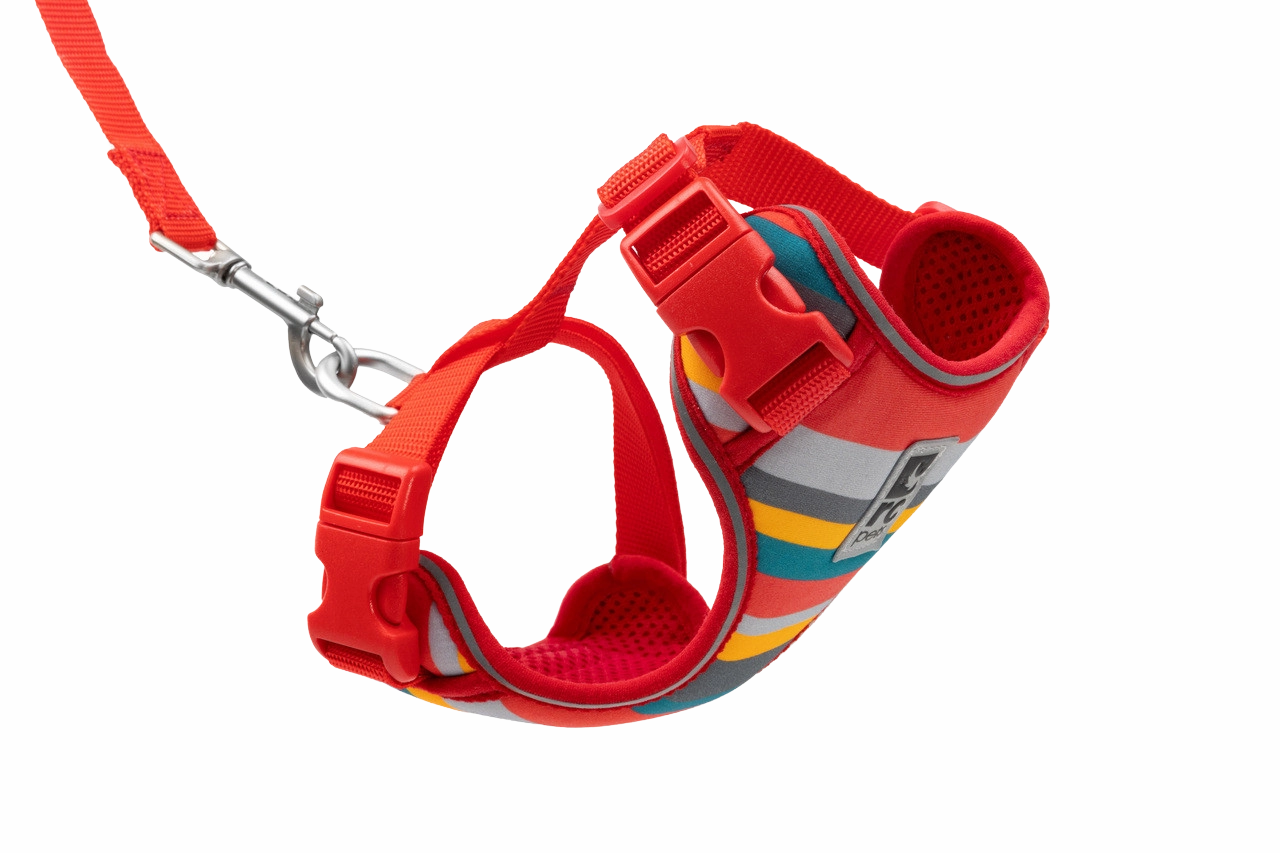 RC Pets Adventure Kitty Harness - Multi Stripes