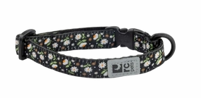 RC Pets Patterned Kitty Breakaway Collar - Daisies