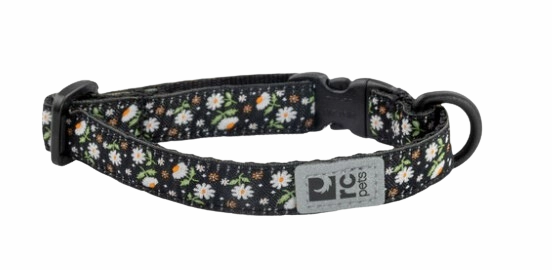 RC Pets Patterned Kitty Breakaway Collar - Daisies