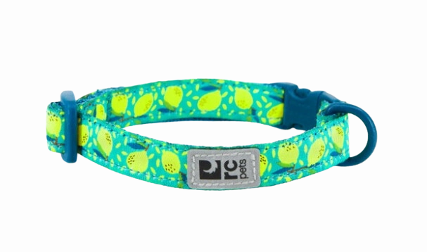 RC Pets Patterned Kitty Breakaway Collar - Lemonade