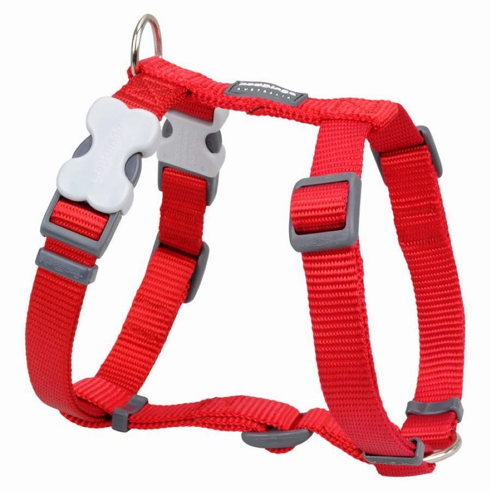 Red Dingo Classic Dog Harness 20mm