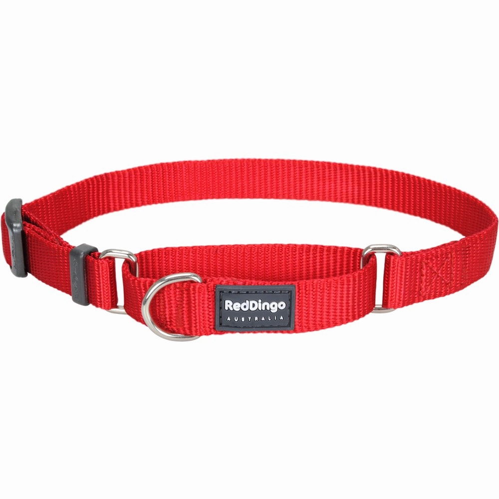 Red Dingo Classic Martingale Dog Collar 20mm