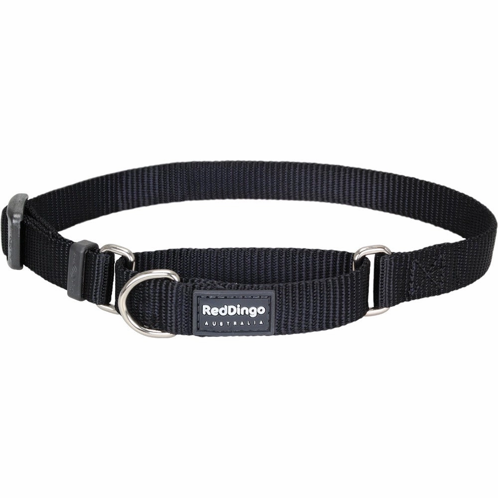 Red Dingo Classic Martingale Dog Collar 20mm