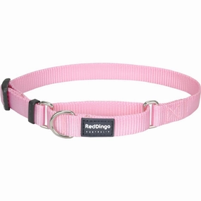 Red Dingo Classic Martingale Dog Collar 25mm