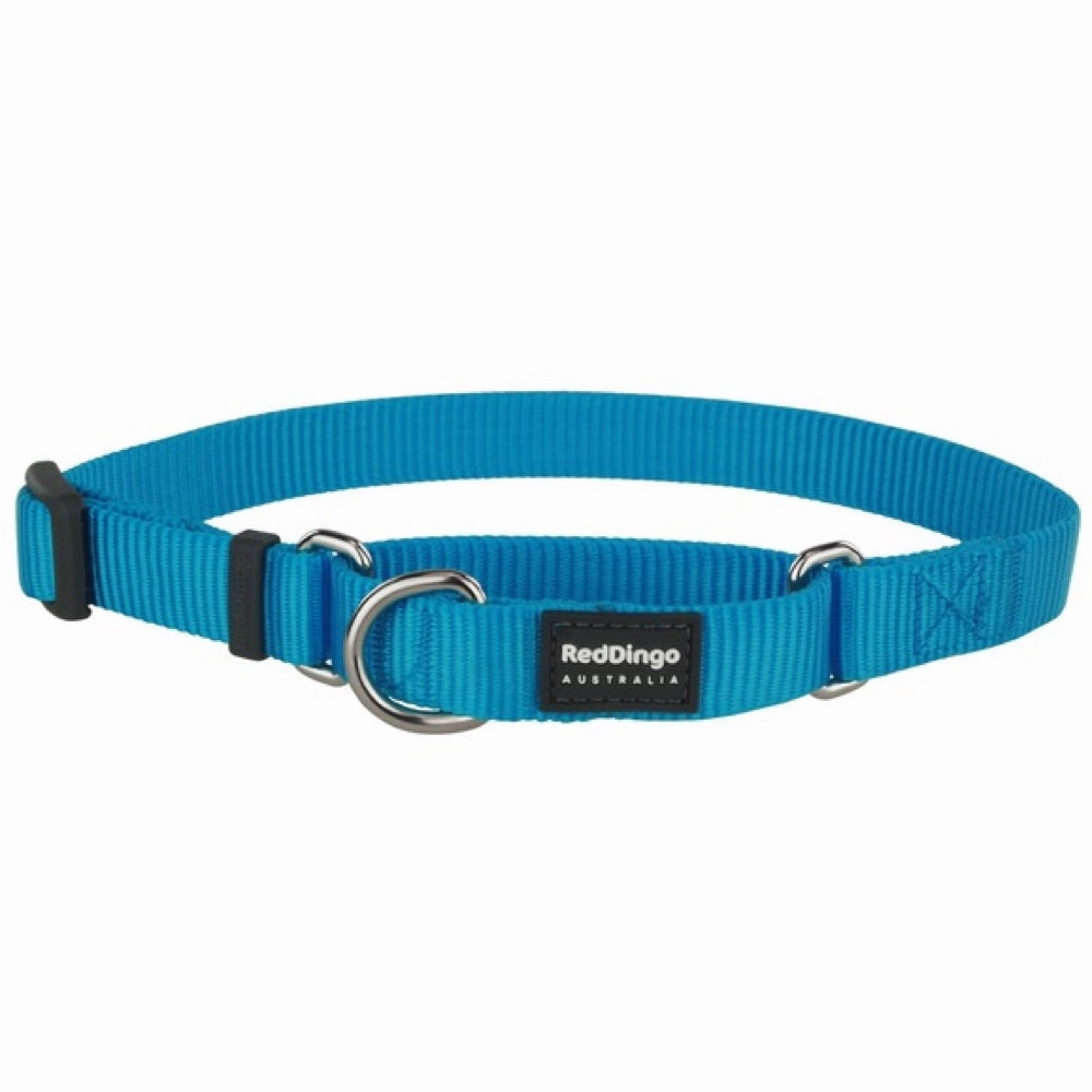 Red Dingo Classic Martingale Dog Collar 25mm