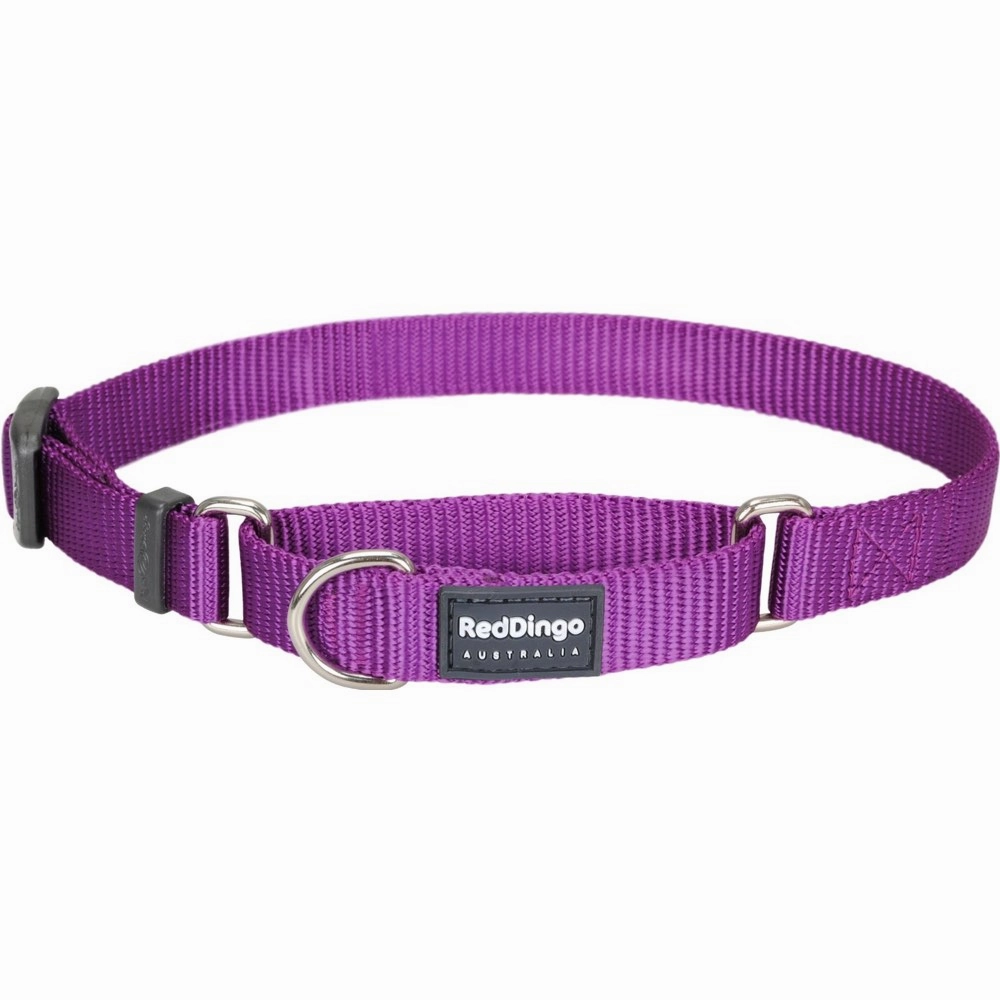 Red Dingo Classic Martingale Dog Collar 25mm