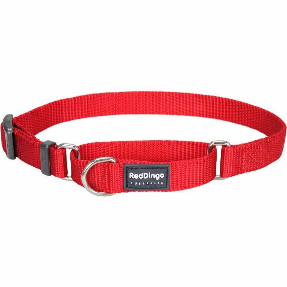 Red Dingo Classic Martingale Dog Collar 25mm