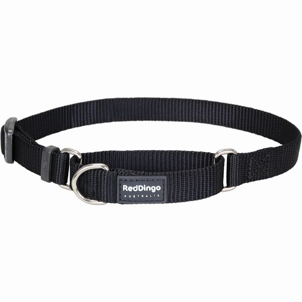 Red Dingo Classic Martingale Dog Collar 25mm