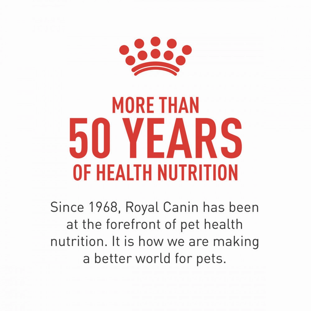 Royal Canin Breed Health Nutrition Labrador Retriever Puppy Dry Dog Food