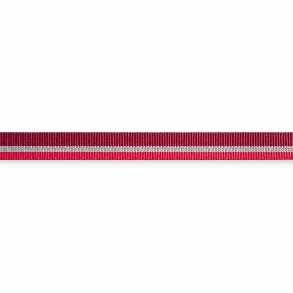 Ruffwear Crag Reflective Multi-Function Dog Leash (Cindercone Red)