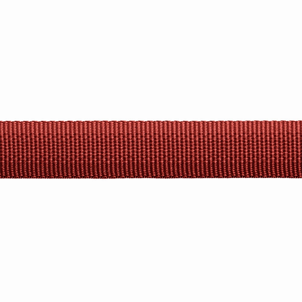Ruffwear Front Range Ombr Dog Collar (Tumalo Teal)