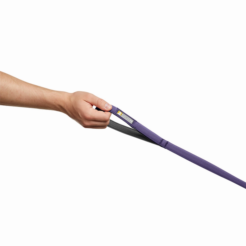 Ruffwear Front Range Ombr Lightweight Dog Leash (Purple Sage)