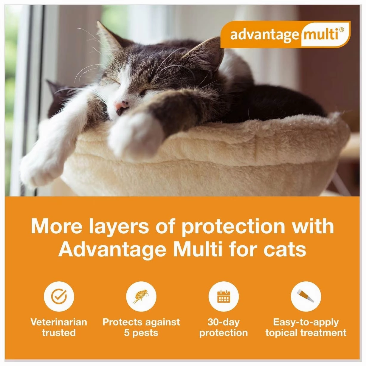 Rx Advantage Multi for Cats