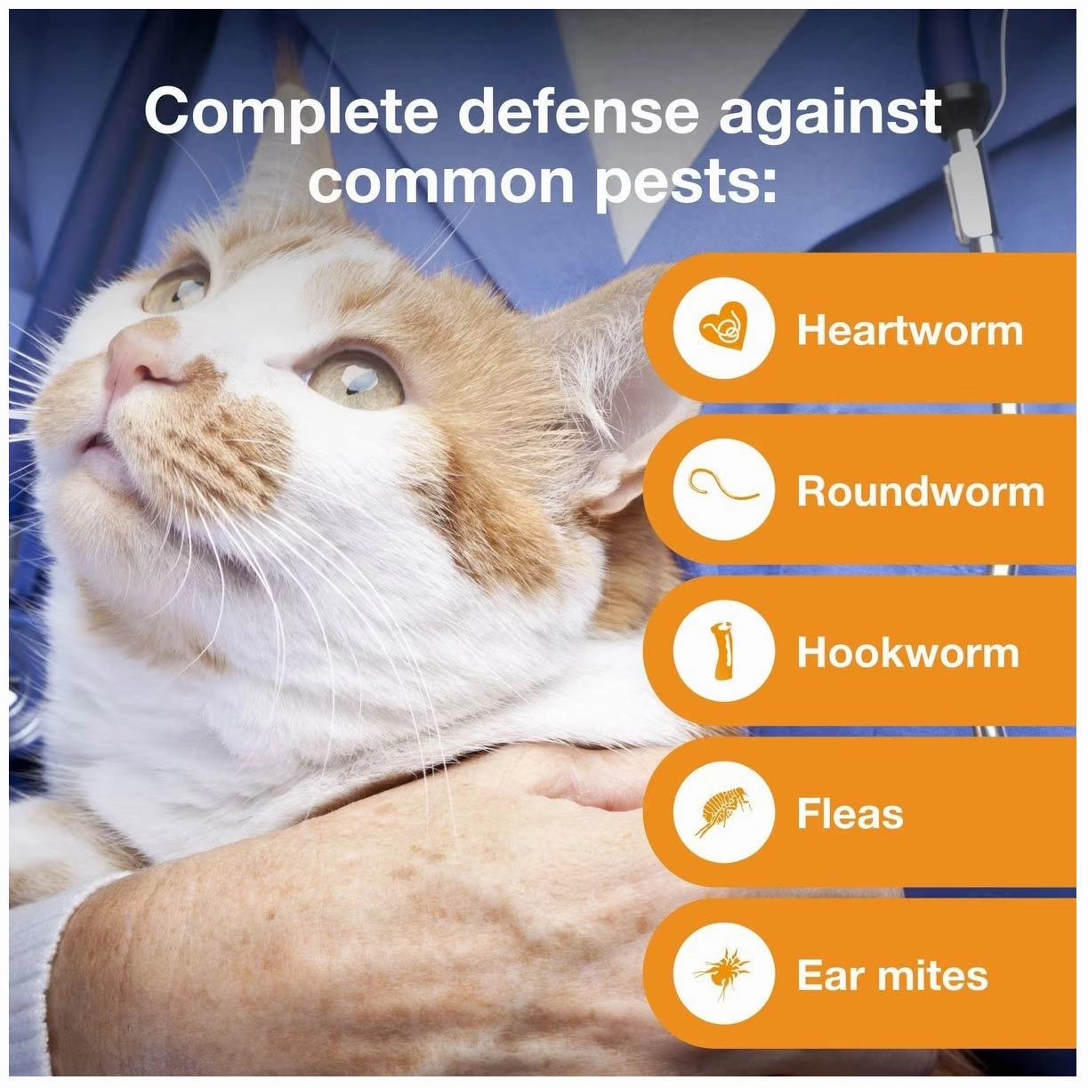 Rx Advantage Multi for Cats