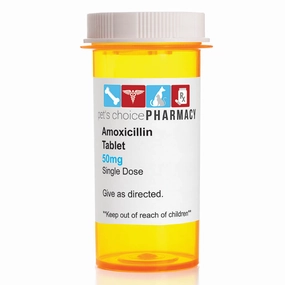 Rx Amoxicillin (Generic) Tablets for Dogs & Cats