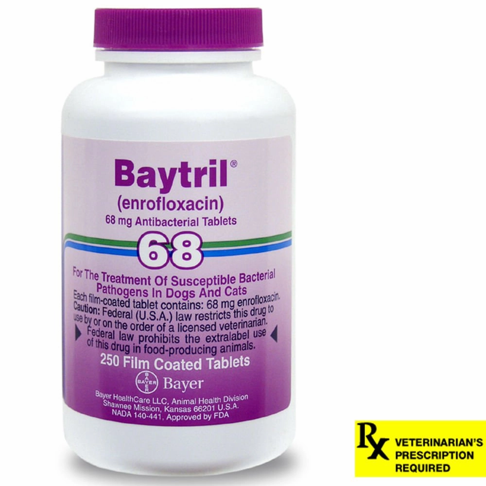 Rx Baytril for Dogs and Cats (Tablets)