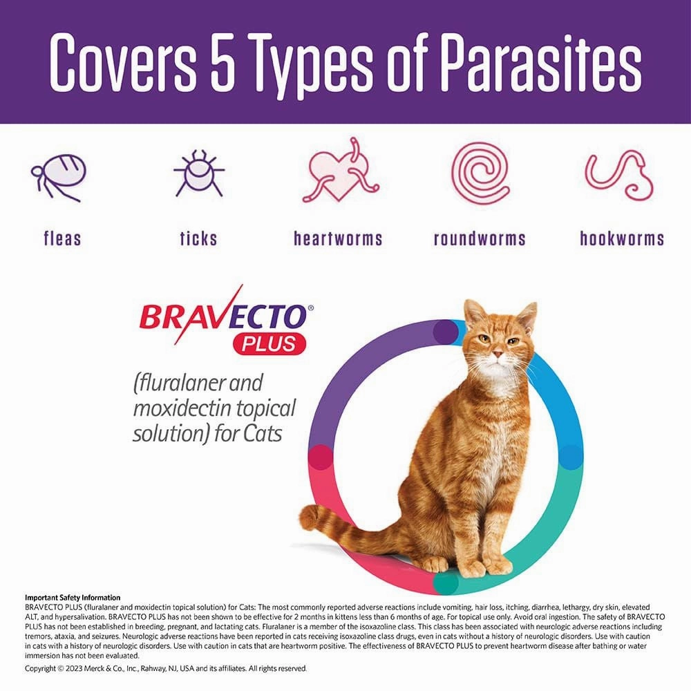 Rx BRAVECTO Plus Topical, Cat