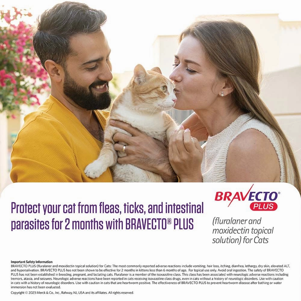 Rx BRAVECTO Plus Topical, Cat