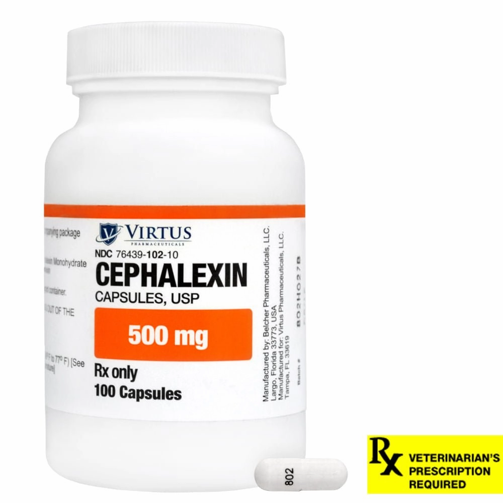 Rx Cephalexin (Generic) Capsules for Dogs & Cats