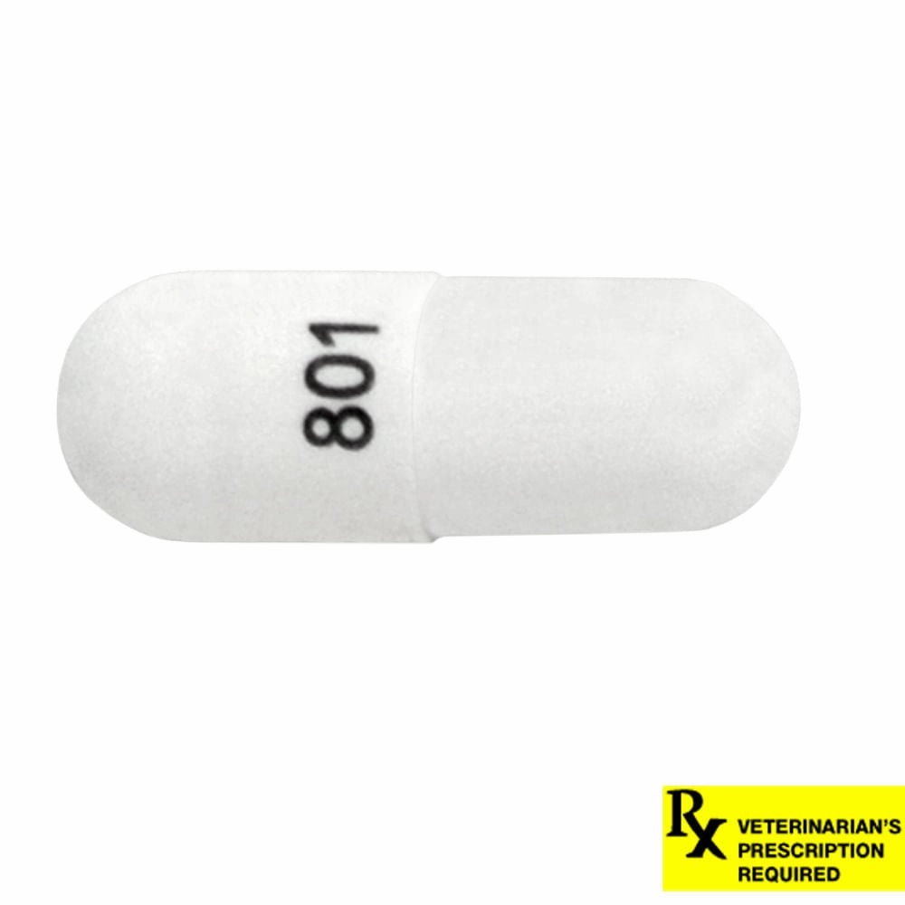 Rx Cephalexin (Generic) Capsules for Dogs & Cats