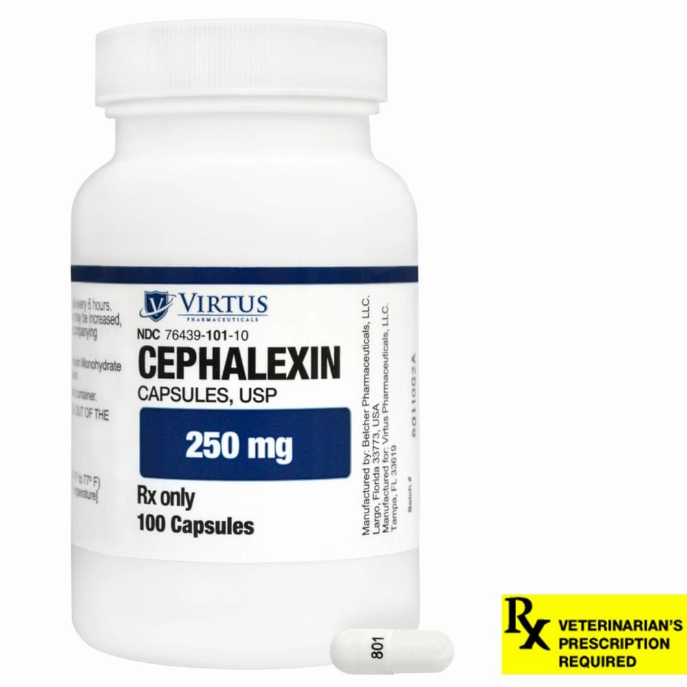 Rx Cephalexin (Generic) Capsules for Dogs & Cats