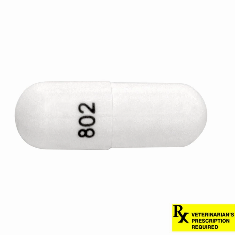 Rx Cephalexin (Generic) Capsules for Dogs & Cats