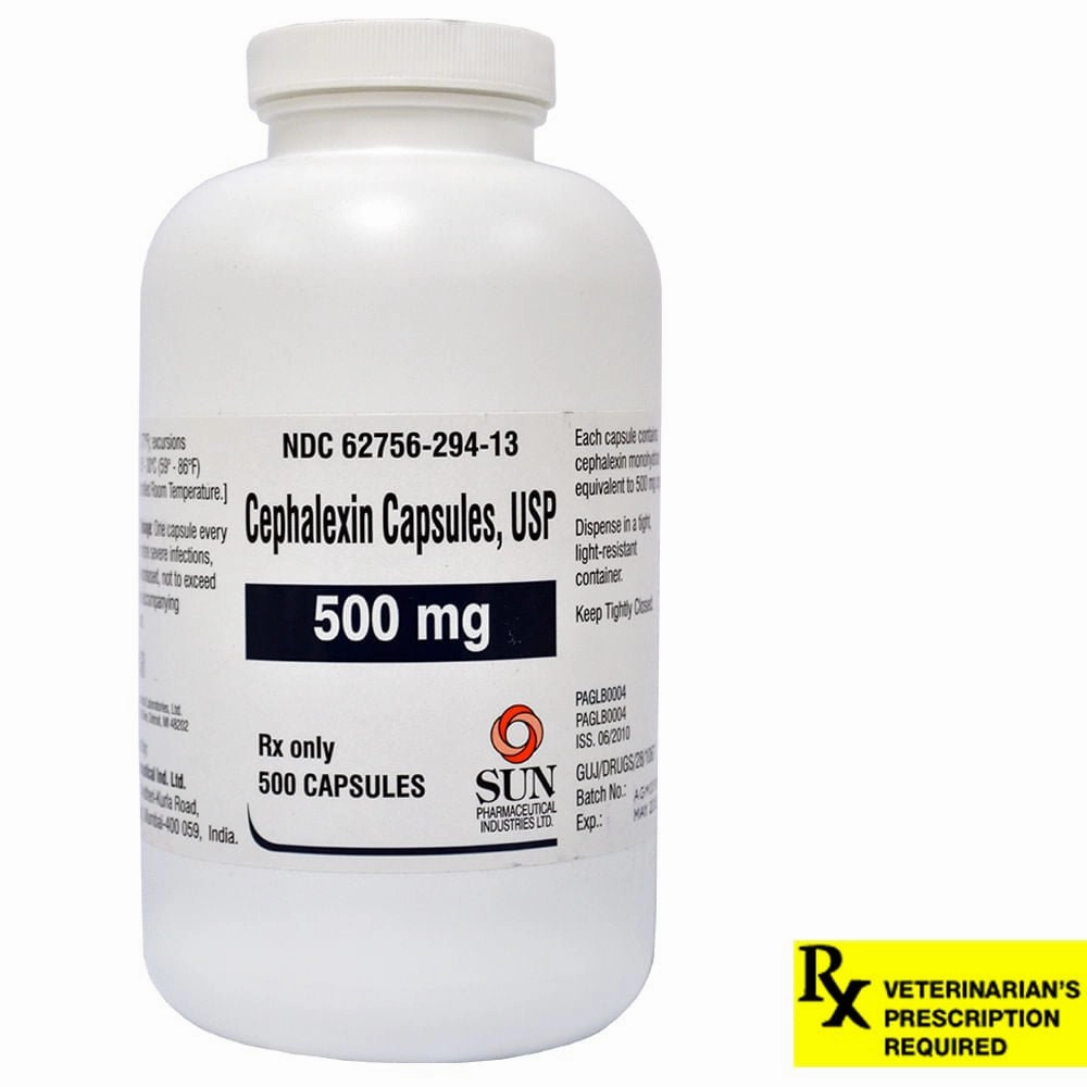Rx Cephalexin (Generic) Capsules for Dogs & Cats