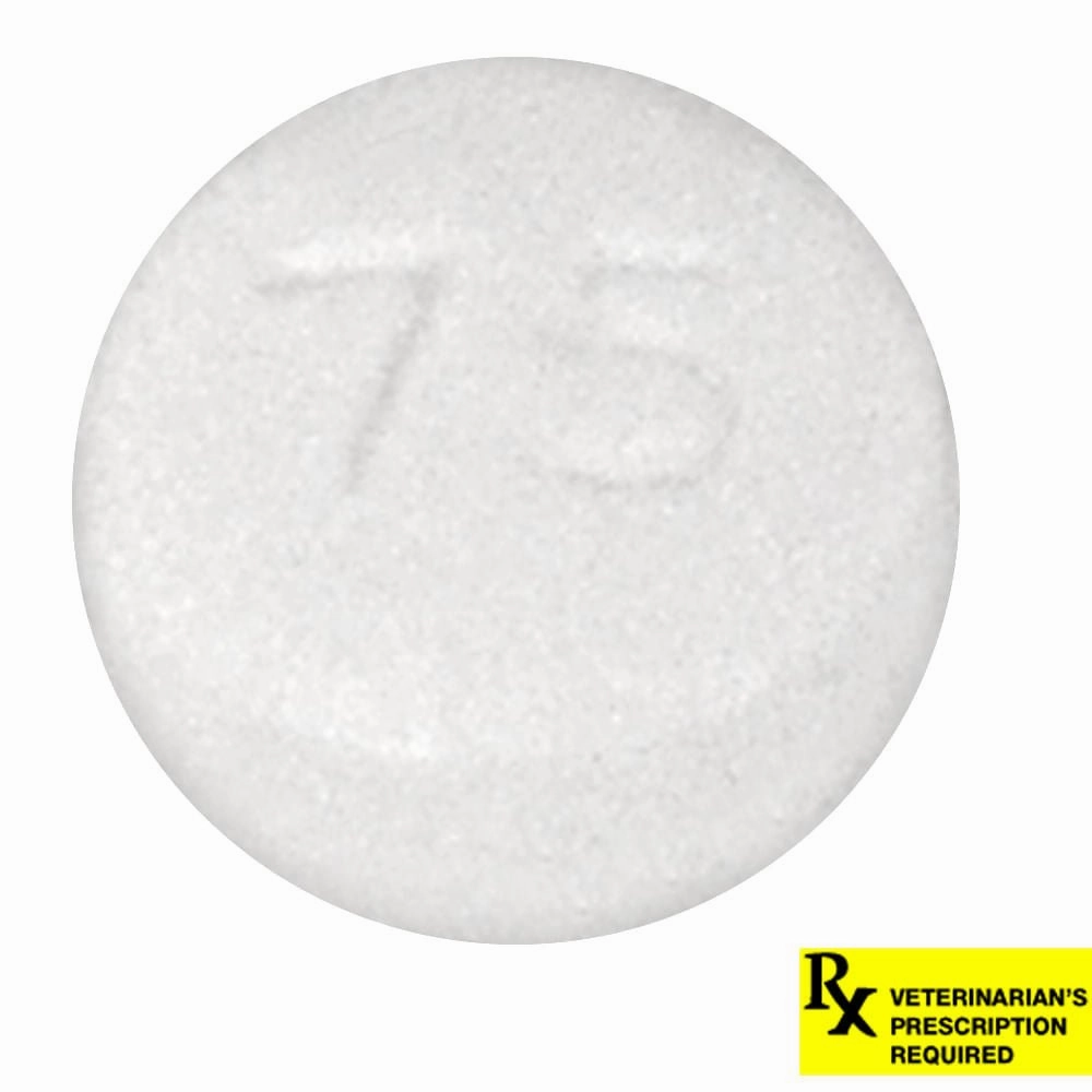 Rx Hydroxyzine HCl (Generic) Tablets for Dogs & Cats