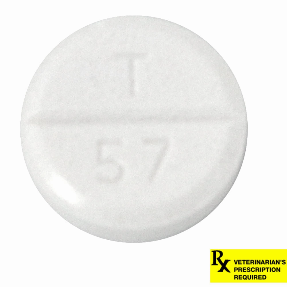 Rx Ketoconazole (Generic) Tablets for Dogs & Cats