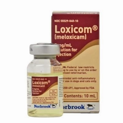 Rx Loxicom Injectable