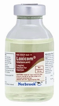 Rx Loxicom Injectable