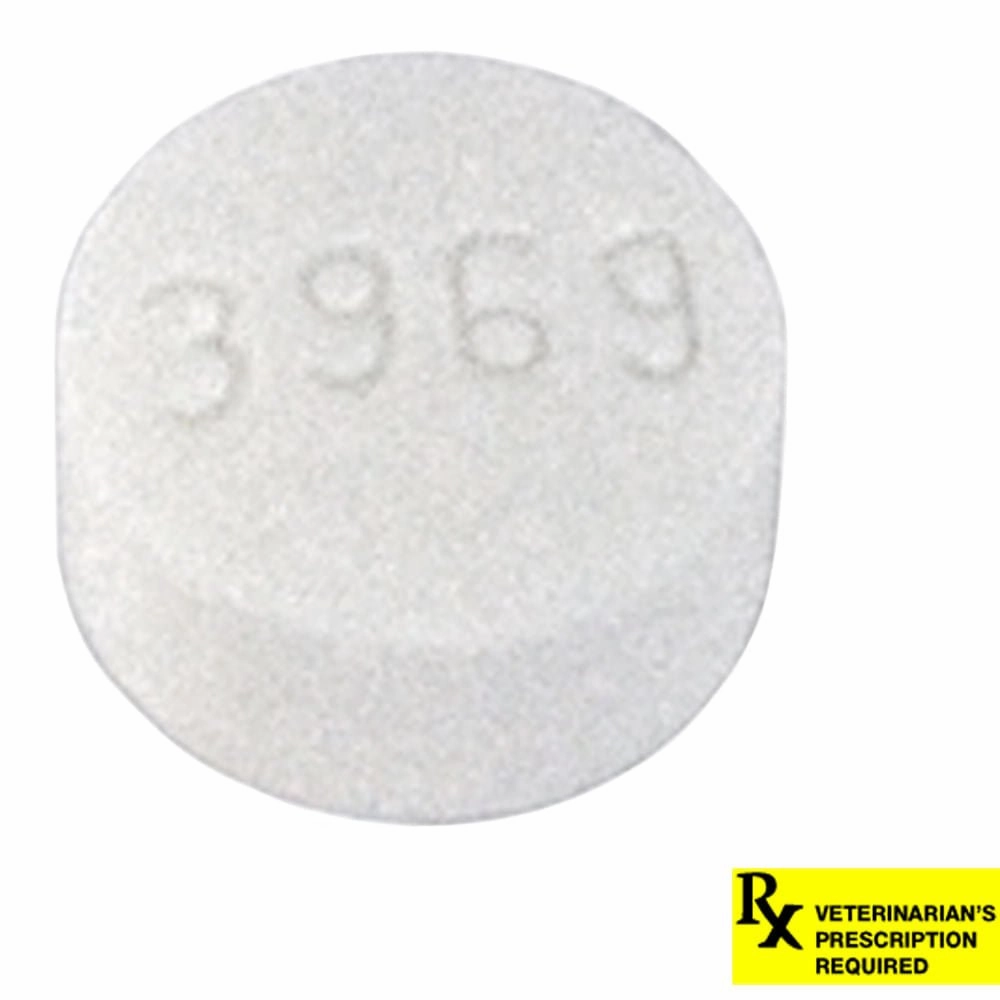 Rx Metronidazole (Generic) Tablets for Dogs & Cats